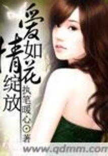 海贼之惩戒之箭