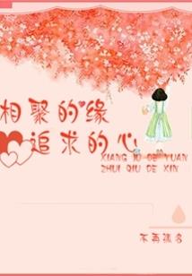 神奇宝贝之傲雪