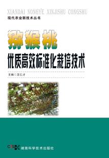 我是阳间鬼差
