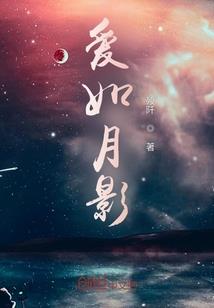 羽起止风月