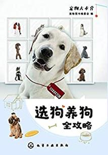神之征