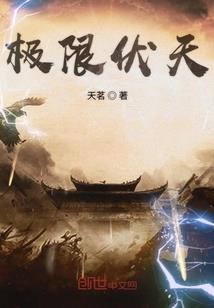 此情不关风雨月