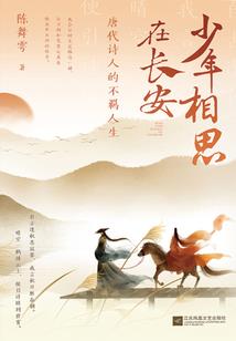 星空之极尊