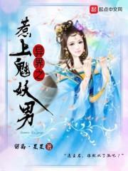 高达之骑士