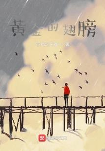 颠覆来回