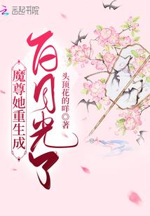 绯夜乱炖