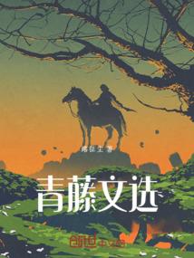 海贼之灭龙魔导师
