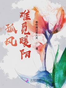 魔法老师之寒